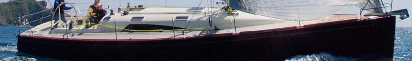 NIGHTEAGLE - CANARD 43'