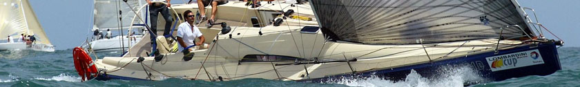 NIHAL - CANARD 42' CR